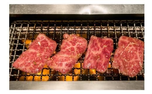 鳥取和牛クラシタ焼肉用 500g 312011_DU008