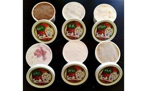 アイスクリーム 12個セット 312011_EB002