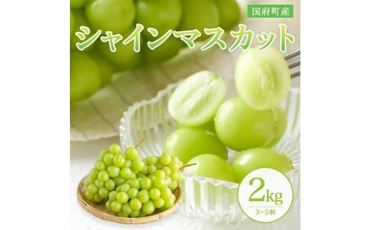 ［鳥取県産シャインマスカット］万葉のしずく ２kg（さんチョク） 312011_EC001