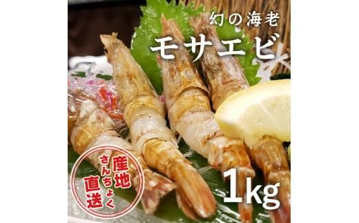 y挧sz^Ⓚ̊CVIҎ҃GriTGrj 1kgi`Nj 312011_EC003