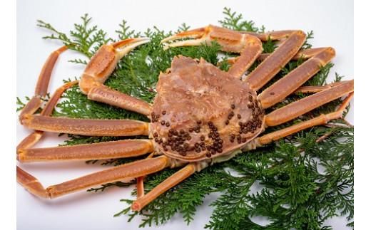 y挧szy|zɑItKj i{Cj 600g uh^Oti`Nj 312011_EC011