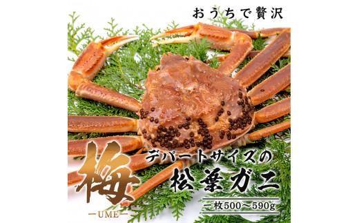 y挧szy~zɑItKj i{Cj 500g uh^Oti`Nj 312011_EC012