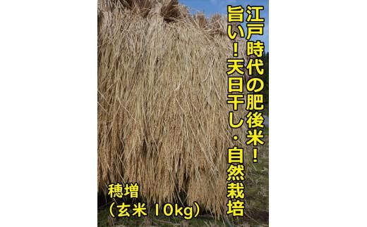 【2025年10月順次発送】江戸時代のお米！ 穂増(玄米) 10kg 令和7年産 312011_EE002