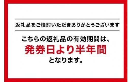 GINZA Global Style オーダースーツ商品券（3000円券） 312011_EK001