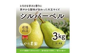 完熟こだわりシルバーベル 3キロ（ひかり農園） 312011_EN002