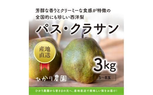 y挧sznpXENT 3LiЂ_j 312011_EN003