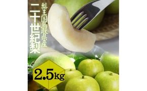 鳥取県産 二十世紀梨2.5kg 訳あり【フォーシーズン】 312011_ES010