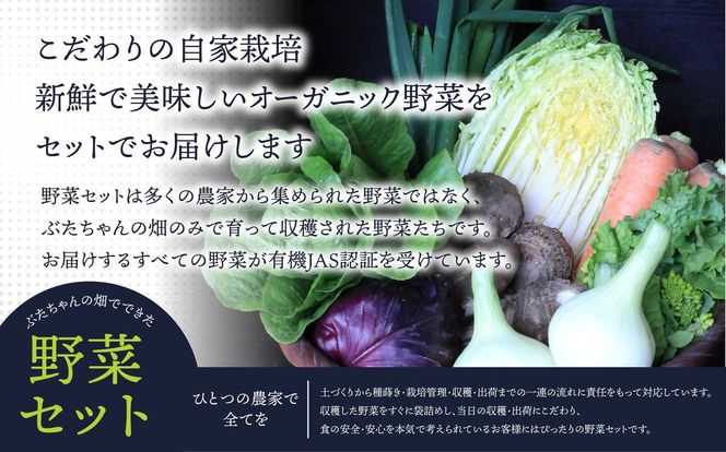 y@szy/N12/͂zL@JASF {̖؃Zbg 8iyԂ̔z_HB0162