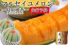 CF108【令和8年度出荷分】マルセイユメロン～島原風香～（4L×2玉）[農事組合法人　『舞岳の里』生産組合 長崎県 島原市 CF108] メロン 赤肉 果物 くだもの フルーツ 産地直送