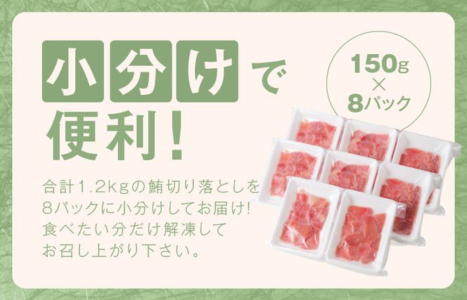 015B569 【家計応援】天然まぐろ 切り落とし 合計 1.2kg 小分け 150g×8P【訳あり サイズ不揃い 刺身 海鮮丼 鮪 まぐろ マグロ ユッケ 海鮮 ネギトロ 小分け ファミリー向け】