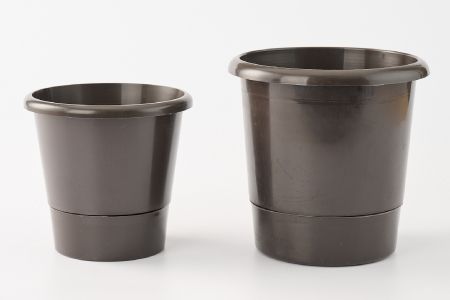 【先行受付1月7日より発送 数量・期間限定】プリムラ オブコニカ タッチミー 5号鉢×3鉢 3色おまかせセット 【鉢花 ふるさと納税 プリムラ】(H069114)