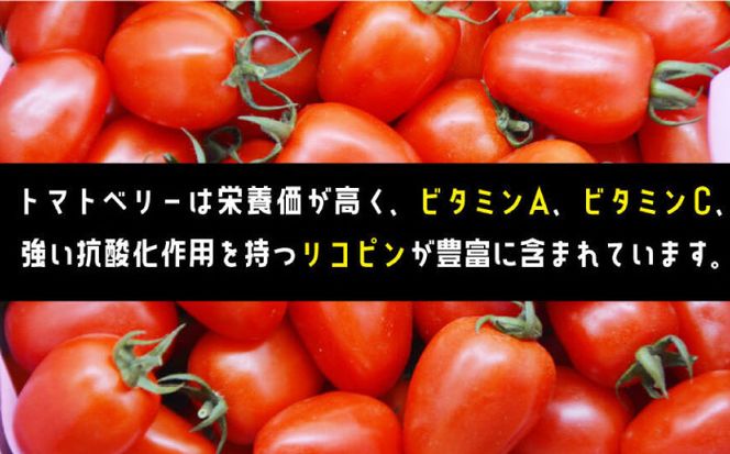 【2025年1月〜発送】トマトベリー 1kg   / トマト 野菜 サラダ ミニトマト プチトマト / 南島原市 / 長崎県農産品流通合同会社 [SCB029]