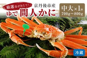 かに卸問屋がお届け・自社釜ゆで！幻のゆで間人ガニ 700ｇ～800ｇ 中大サイズ （1月～3月発送）／北畿水産　HK00295