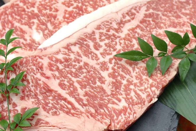 [AS002] 【A4-5ランク】能登牛サーロインステーキ用（600g）