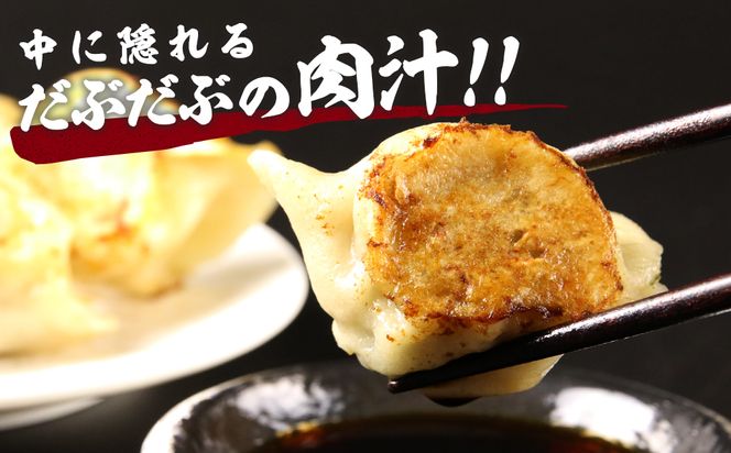 だぶだぶの肉汁をすすりたくなる餃子 40個（20個入×2パック） BE005