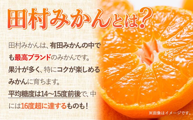 【先行予約】みかん 田村 みかん 秀品 5kg サイズ指定なし 株式会社とち亀物産《11月下旬-1月中旬頃出荷》和歌山県 日高町 フルーツ くだもの 果物 柑橘 旬 ノーワックス 送料無料 紀伊国屋文左衛門本舗 蜜柑 ミカン オレンジ---wsh_tktmikan_h111_22_19000_5kg---