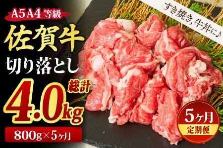 【5回定期便】佐賀牛 贅沢 切り落とし 800g（合計4kg）【すき焼き 牛丼 A5 A4 期間限定 希少 国産和牛 牛肉 肉 牛】(H085186)