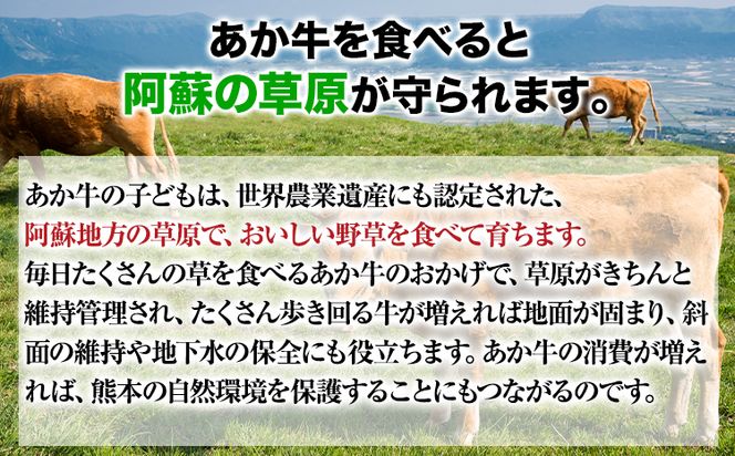 肥後のあか牛 すき焼き用 500g 1000g 株式会社KAM Brewing《90日以内に出荷予定(土日祝除く)》---so_fkamhgsk_90d_23_15500_500g---