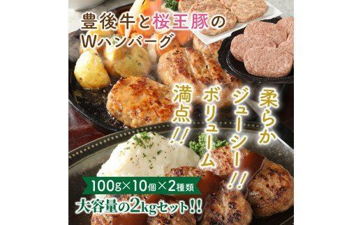 豊後牛と桜王豚のＷハンバーグ2kgセット_1485R