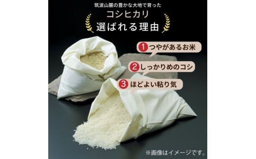 令和6年産 茨城県産 無洗米コシヒカリ　精米　合計20kg（5kg×4袋） ※離島への配送不可　※2024年9月中旬頃に順次発送予定