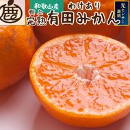 家庭用　完熟有田みかん5kg+150g（傷み補償分）【わけあり・訳あり】【光センサー選果】＜11月より発送＞ CZ014Z