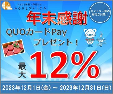 QUOカードPay最大13%キャンペーン【11月】