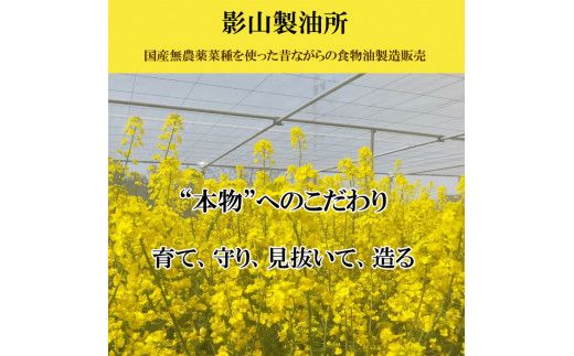 「出雲の菜種油」中2本セット【1_6-009】