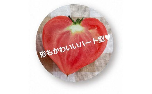 【お試し】たった3ヶ月しか食べられない 幻のファーストトマト H004-120