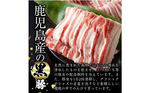 【11467】鹿児島黒牛カルビと黒豚バラの焼肉セット(合計600g・各300g)【デリカフーズ】