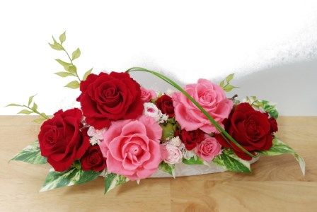 yɌO؎szvU[uht[@傫ȃo̕40cmAW