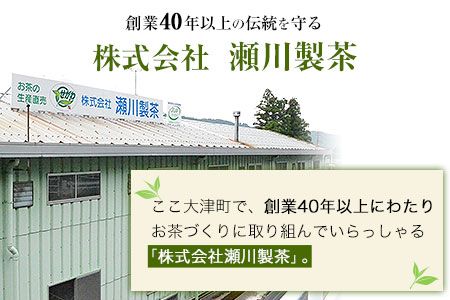 玉緑茶(たまりょくちゃ)「一番茶」《60日以内に出荷予定(土日祝除く)》100g×5本 熊本県 大津町産 株式会社 瀬川製茶---so_sgwtam_60d_24_12500_500g---
