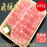 AJ-17 【6か月定期便】【飛騨牛】ロースまたは肩ロース600g (焼肉・BBQ用)