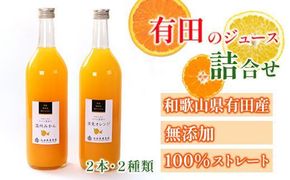 無添加・有田のジュース詰合せ 720ml×2本・2種［種類おまかせ］［IKE238］ 303446_BB97332