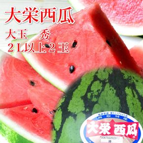 996.【ふるさと納税】【先行予約】大栄西瓜　大　2玉（高間商店）※6月中旬～7月中旬頃に順次発送予定 313726_AN121