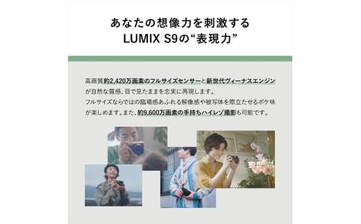 パナソニック フルサイズミラーレス一眼カメラ ルミックス DC-S9N-D【 デジタルカメラ 大阪府 門真市 】 272230_CT002