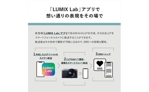 パナソニック フルサイズミラーレス一眼カメラ ルミックス DC-S9N-D【 デジタルカメラ 大阪府 門真市 】 272230_CT002