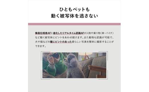 パナソニック フルサイズミラーレス一眼カメラ ルミックス DC-S9N-D【 デジタルカメラ 大阪府 門真市 】 272230_CT002