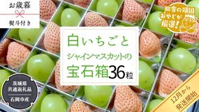 【 お歳暮 熨斗付 】シャインマスカットと白いちごの宝石箱 36粒【令和6年12月から発送開始】（県内共通返礼品：石岡市産） いちご 苺 イチゴ 白いちご 白イチゴ シャインマスカット マスカット 宝石箱 [BI379-NT]