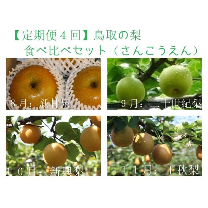 【定期便4回】鳥取の梨食べ比べセット (各種3kg箱) 312011_BU007
