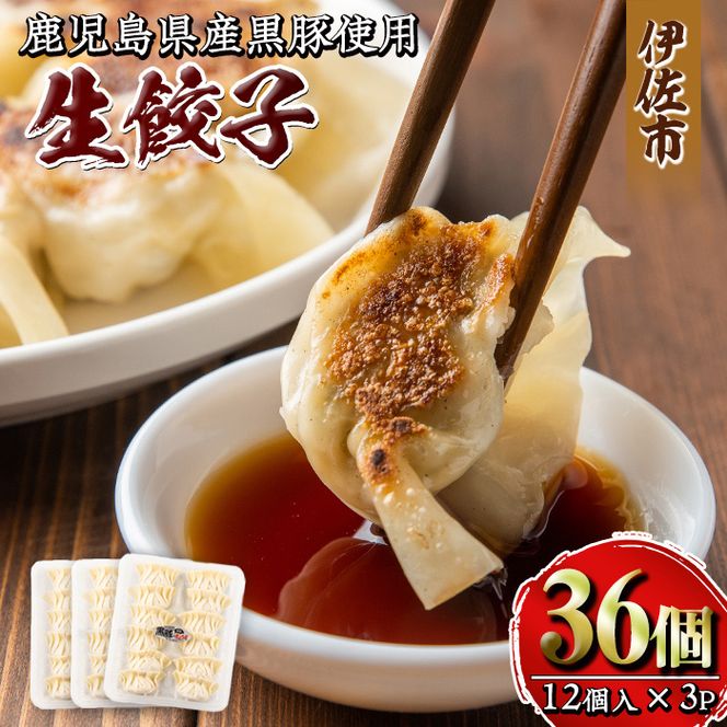 isa266 100年以上続く精肉店の黒豚餃子(計36個・12個入×3P)【増元精肉店】