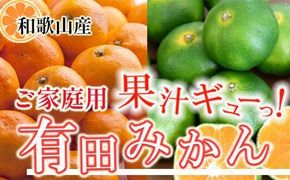 家庭用 有田みかん5kg+250g（傷み補償分）［2025年10月上旬から2026年1月下旬頃順次発送予定］［IKE247］ 303446_BB90007