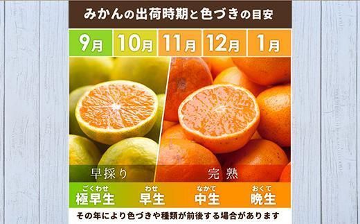 家庭用 有田みかん5kg+250g（傷み補償分）［2025年10月上旬から2026年1月下旬頃順次発送予定］［IKE247］ 303446_BB90007
