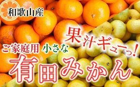 ［先行予約］家庭用 小さな有田みかん5kg+250g（傷み補償分）［2026年10月初旬から2027年1月末日頃順次発送予定］［IKE245］ 303446_BB90164