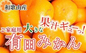 家庭用 大きな有田みかん5kg+250g（傷み補償分）［2025年11月中旬から2026年1月下旬頃順次発送予定］［IKE244］ 303446_BB90166