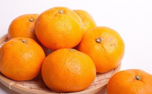 家庭用 大きな有田みかん5kg+250g（傷み補償分）［2025年11月中旬から2026年1月下旬頃順次発送予定］［IKE244］ 303446_BB90166