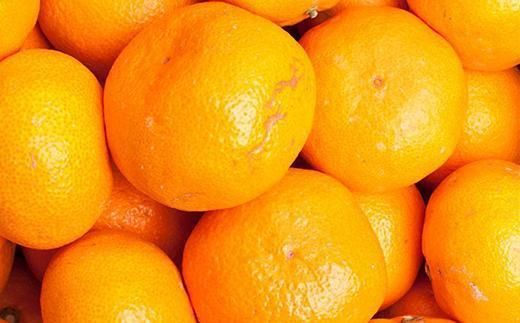 家庭用 大きな有田みかん5kg+250g（傷み補償分）［2025年11月中旬から2026年1月下旬頃順次発送予定］［IKE244］ 303446_BB90166