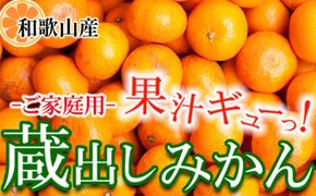 ［先行予約］家庭用 蔵出しみかん7.5kg+250g（傷み補償分）［2027年1月中旬から2027年2月末日頃、順次発送予定］［IKE241］ 303446_BB90171