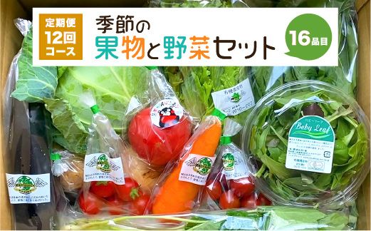 【定期便12回】 季節の果物と野菜セット 16品目