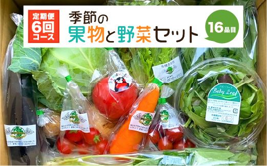 【定期便6回】 季節の果物と野菜セット 16品目