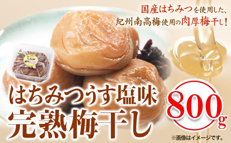 紀州南高梅使用 はちみつうす塩味完熟梅干し 800g 厳選館[90日以内に出荷予定(土日祝除く)]和歌山県 日高町 梅干し はちみつうす塩梅 紀州南高梅 送料無料---wsh_gsk91_90d_25_15000_1p---